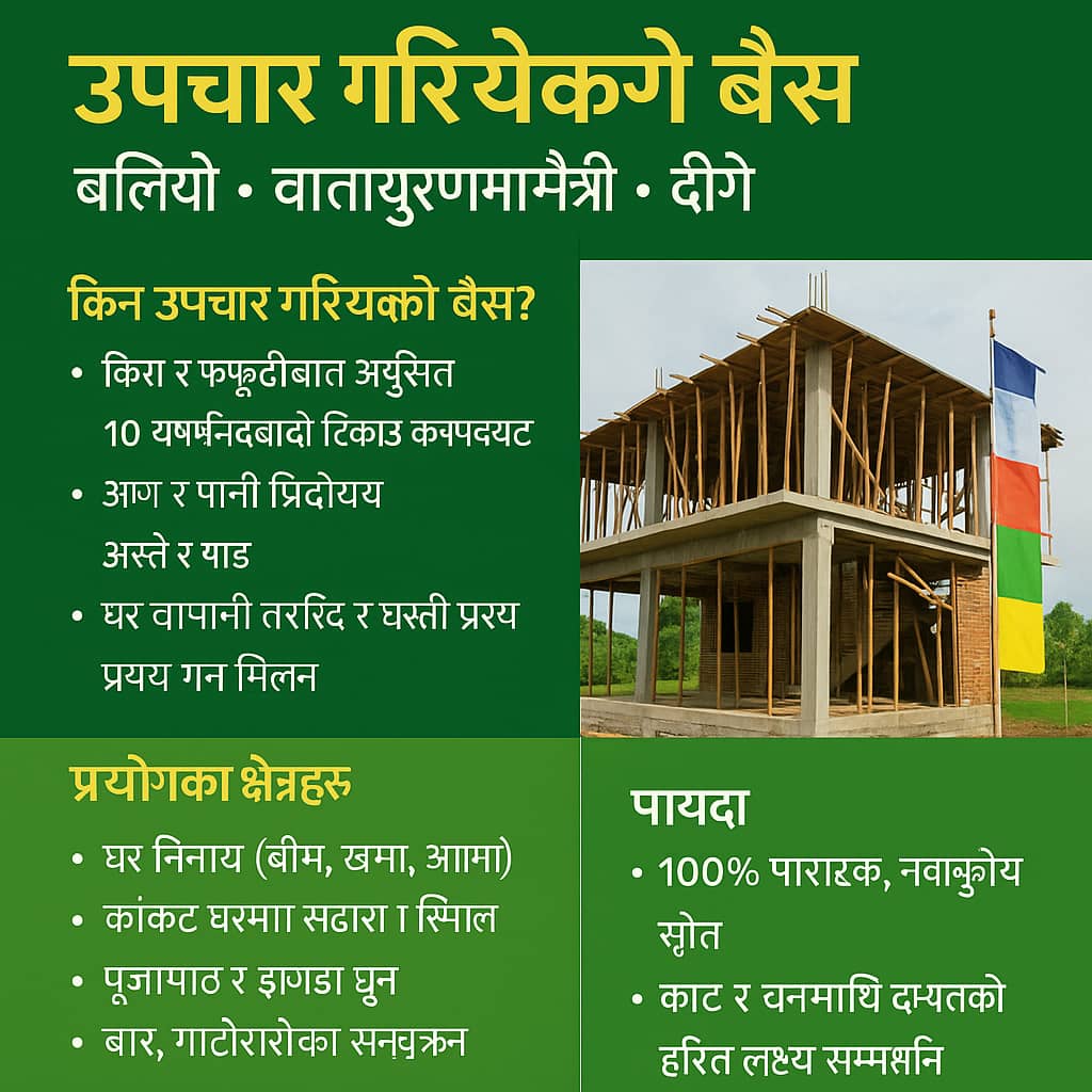 Bamboo Product